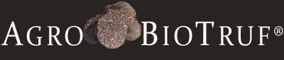 trufas,cultivo de trufas,truficultura,trufas chile,plantas inoculadas,tuber melanosporum,trufa negra,truffle,truffle cultivation,truffle trees