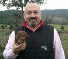 trufas
