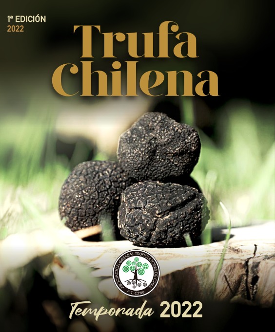 Truficultura